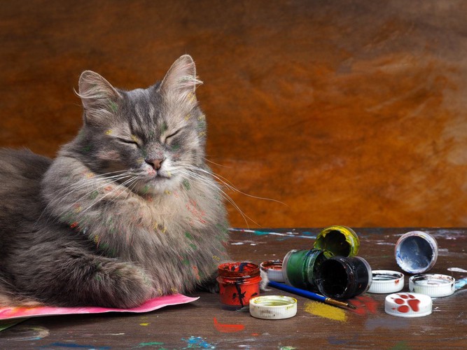 絵具を散らかす猫