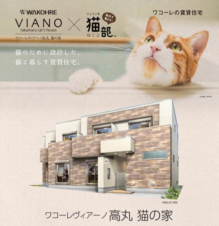 猫の家イメージ図