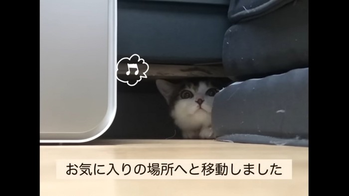 家具の下に入る猫