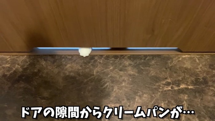 ドアの隙間から見える猫の前足