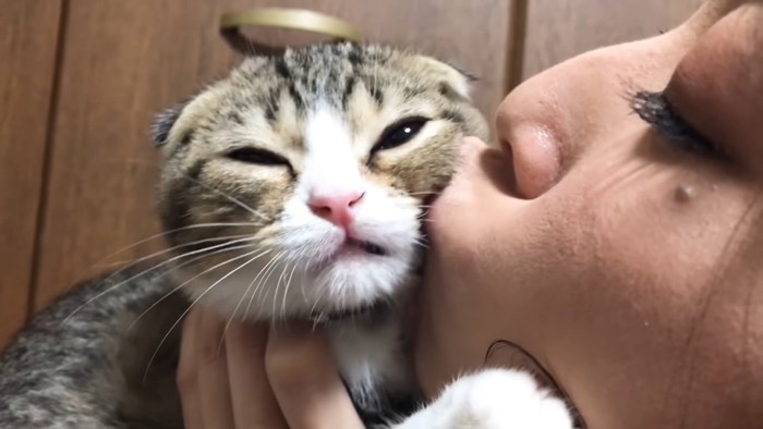 キスされて目を細める猫