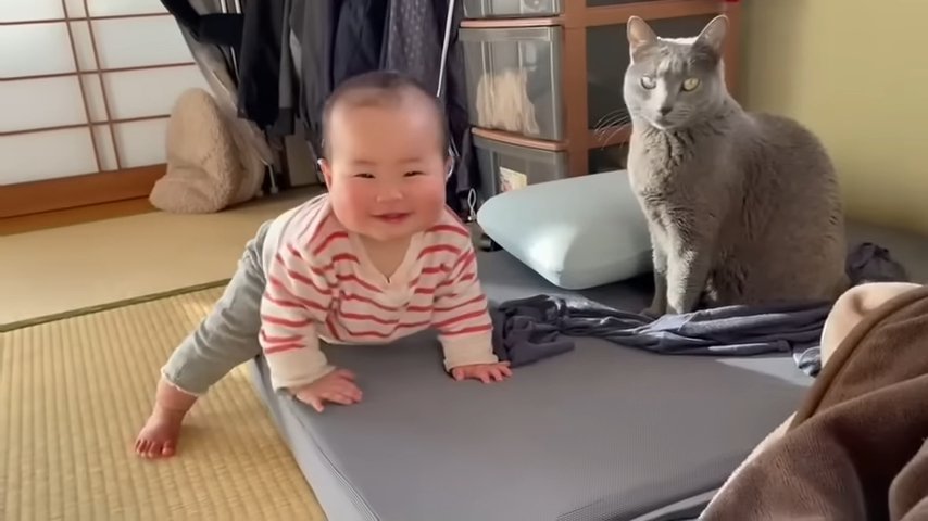笑う赤ちゃんとカメラをみる猫