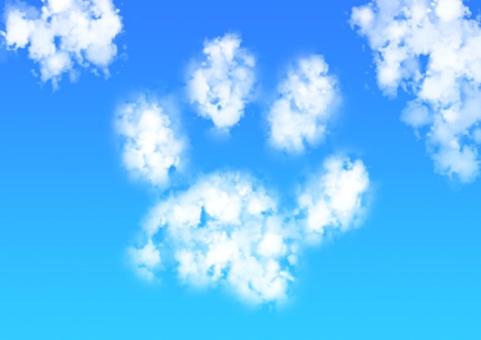 青空に浮かぶ肉球型の雲