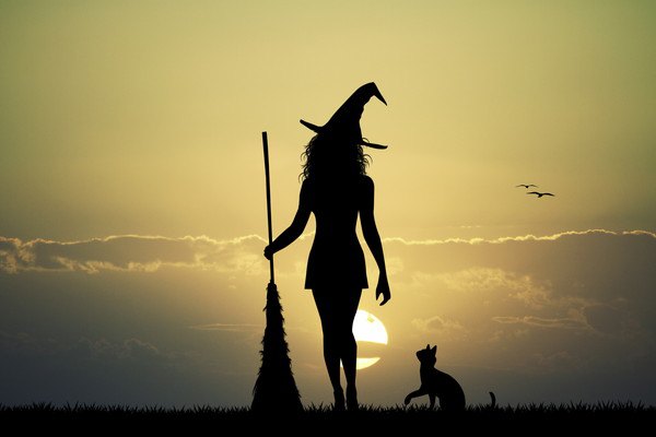 ほうきを持って魔女の帽子をかぶった女性と猫のシルエット