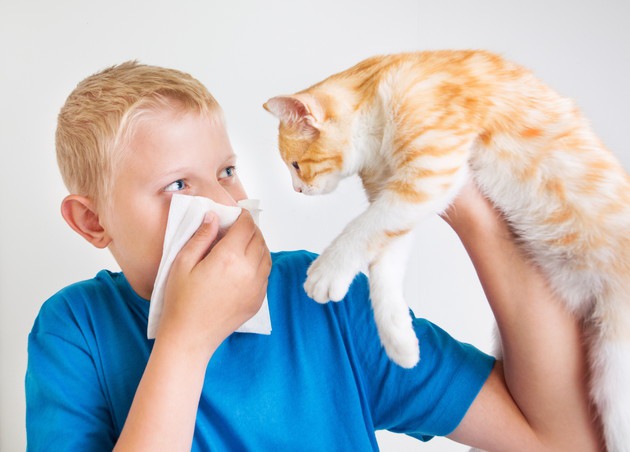 猫アレルギーの子供