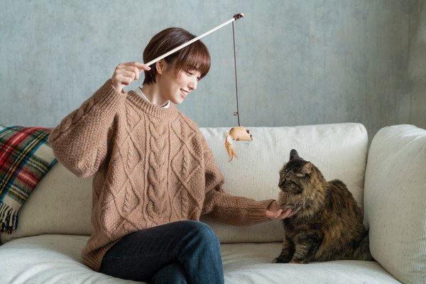 猫と遊んでいる女性