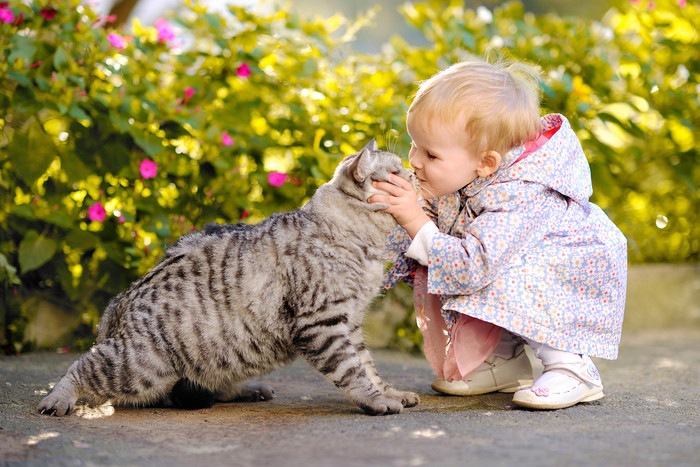猫にキスする子供