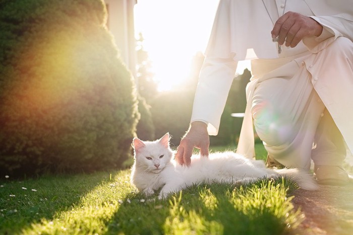 白い猫に触れる司祭