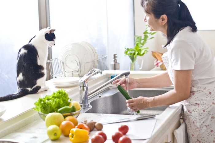 キッチンにいる女性と猫
