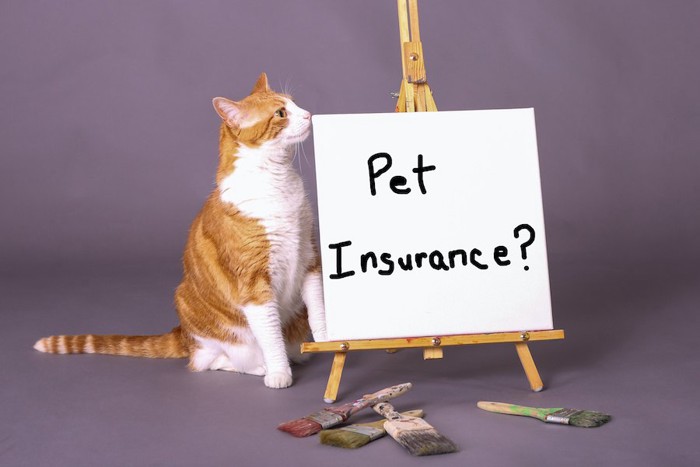 ペット保健の看板と猫