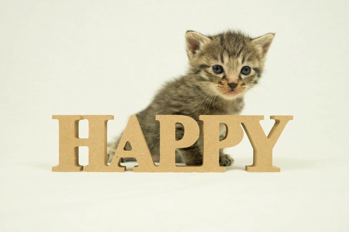HAPPYの文字と子猫