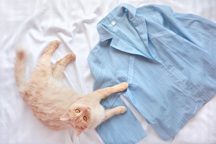 パジャマと猫