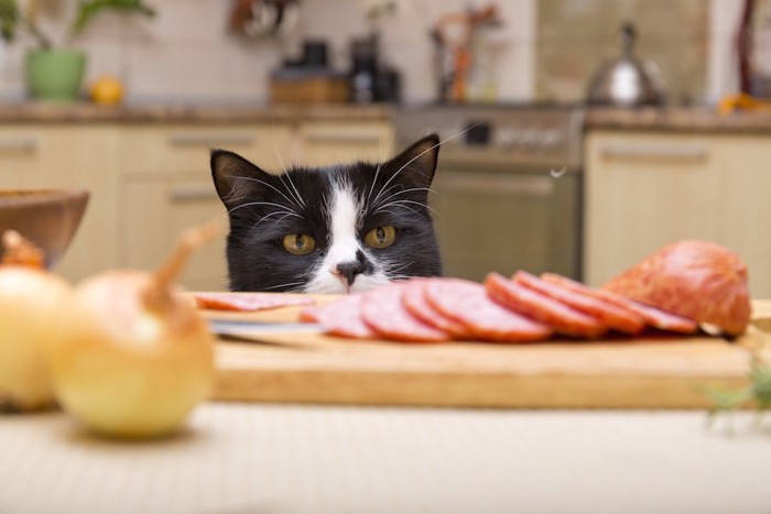 テーブルの上の食材を狙う猫