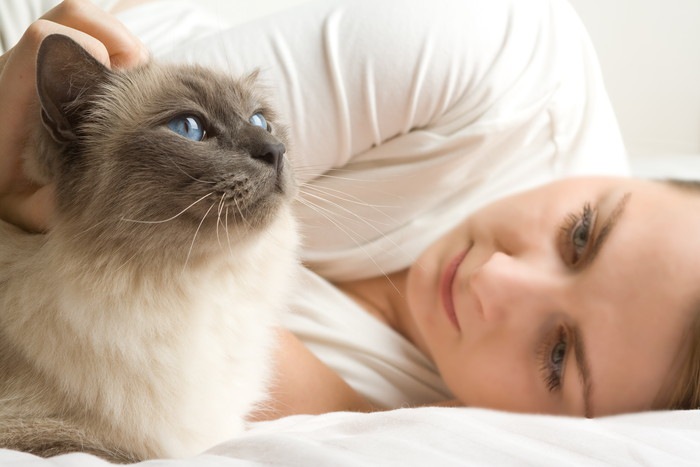 女性とブルーの目の猫