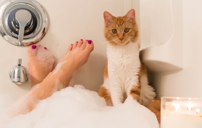 入浴中の女性と猫の写真