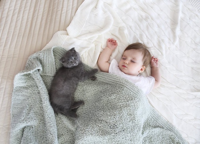 赤ちゃんと一緒の布団で横になる猫