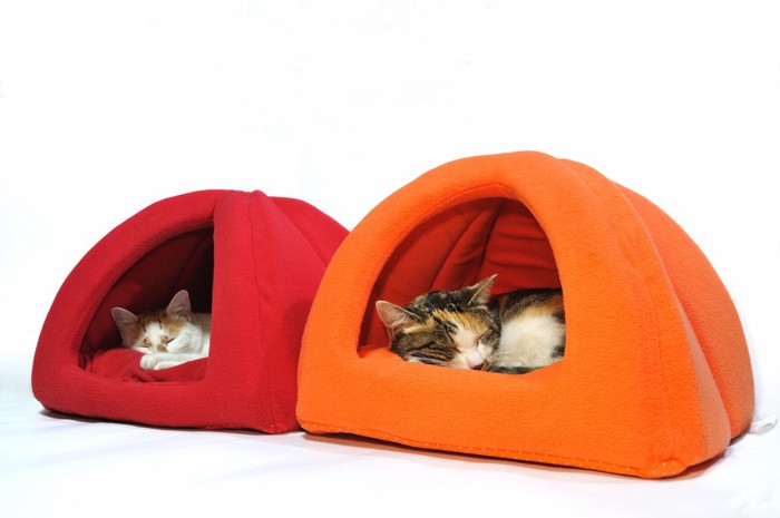 赤とオレンジの猫ドームに入る2匹の猫