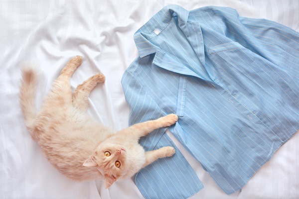 猫とルームウェアの上着