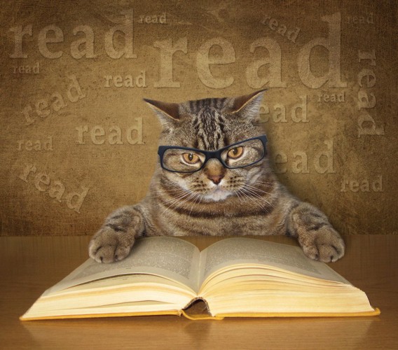 本を読むメガネをかけた猫