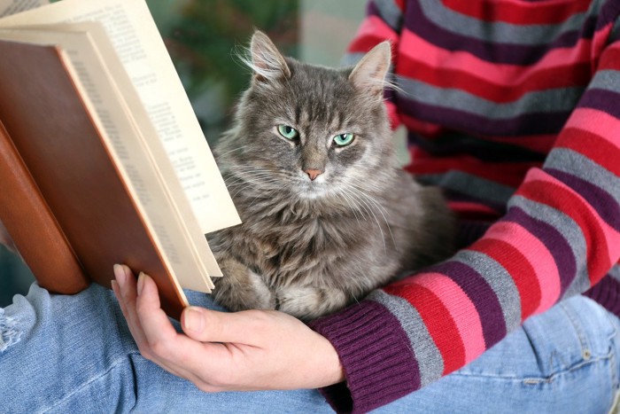 本を読む飼い主さんの膝の上の猫
