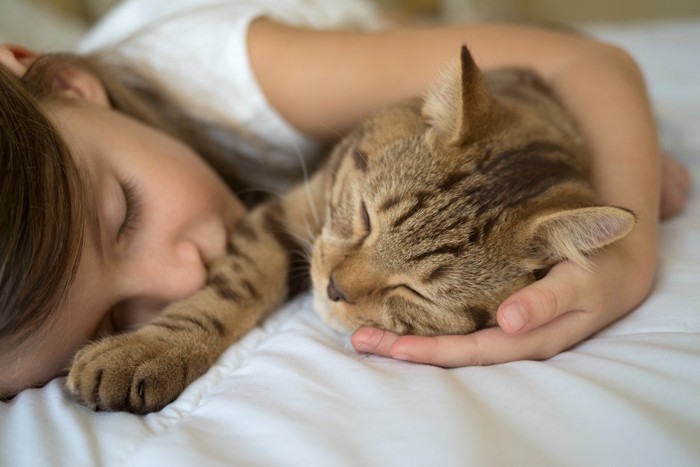 少女と眠る猫