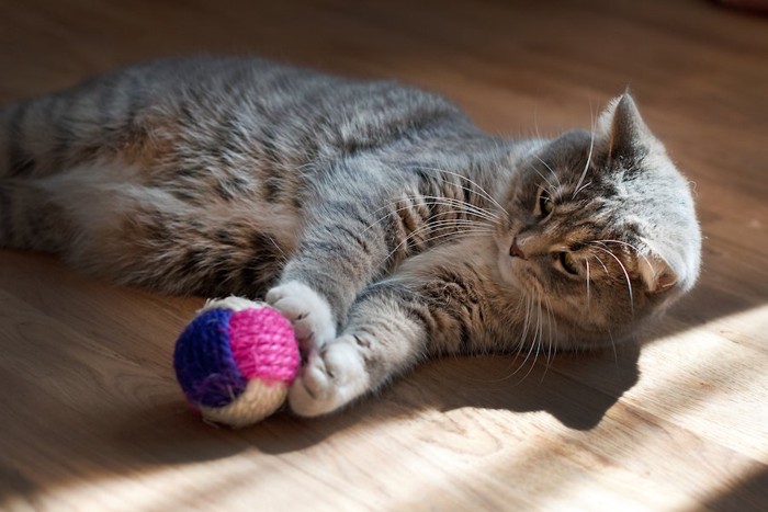 寝転んでボールで遊ぶ猫