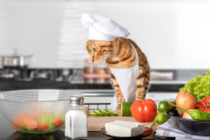 調理をする猫