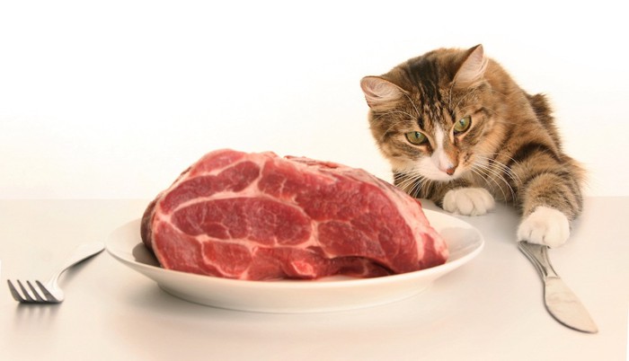 テーブルの上の肉と猫