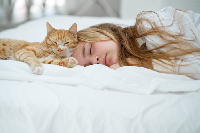 寝ている女性の頭の上に顔を乗せて寝る猫