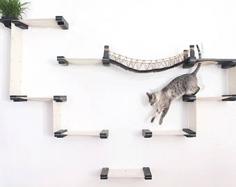 猫のつり橋と猫