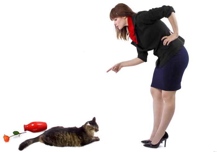 花瓶を倒した猫と叱る女性