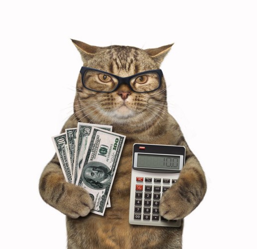 お金と電卓を持つ猫