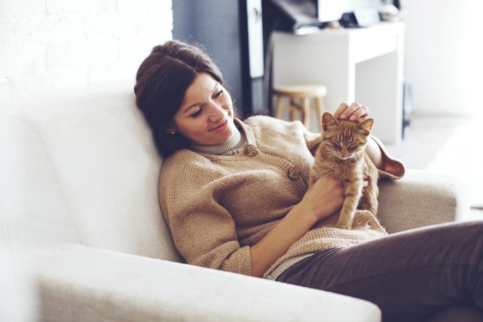 ソファーで女性に撫でられている猫