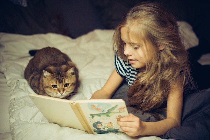 一緒に本を読む女の子と猫