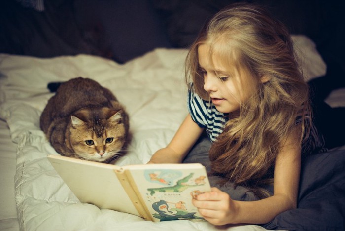 猫に絵本を読む少女