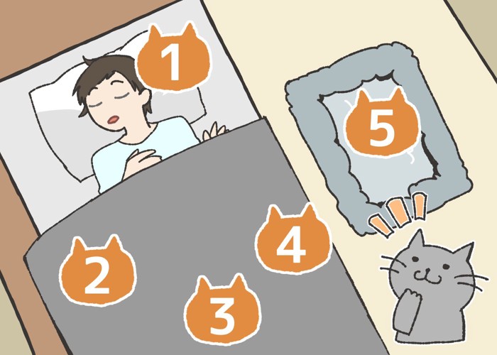猫が寝る位置の図
