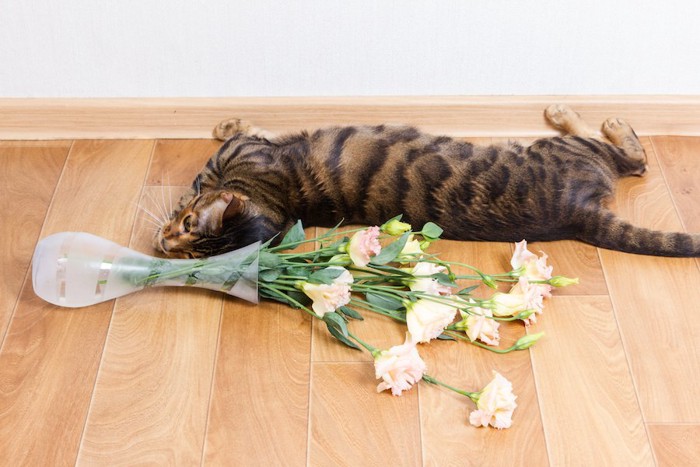 倒れた花瓶の横で寝転がる猫