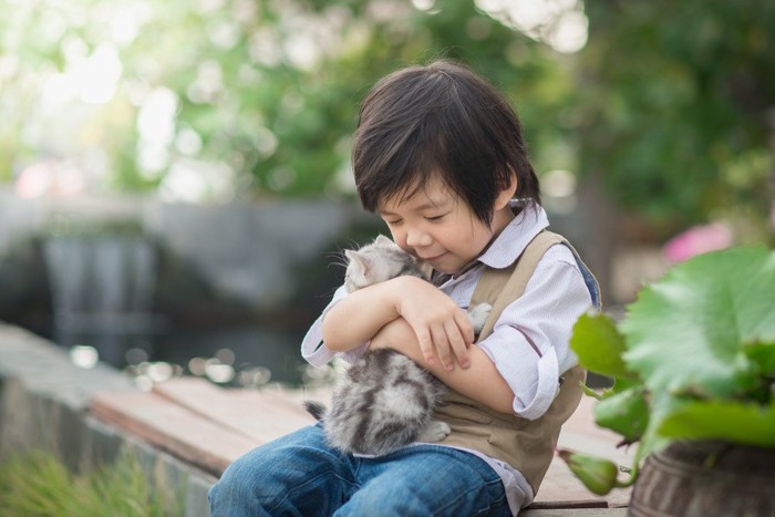 少年に抱っこされている子猫