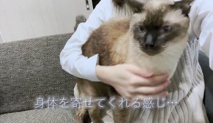 飼い主さんへの信頼度は抜群！