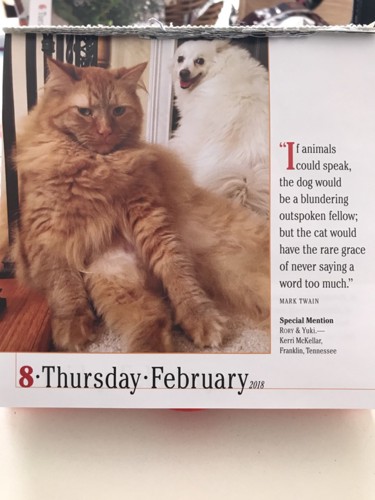 カレンダー中身猫と犬