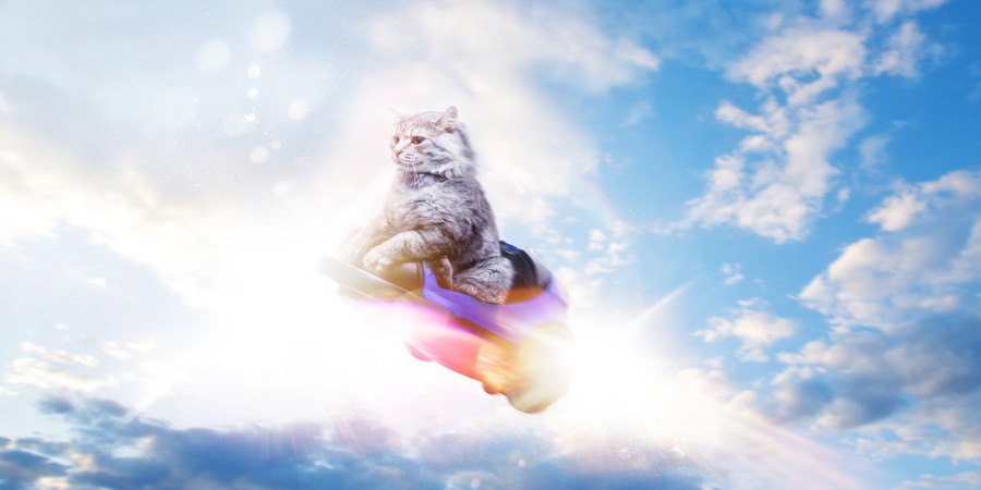 不思議な空を飛ぶ猫