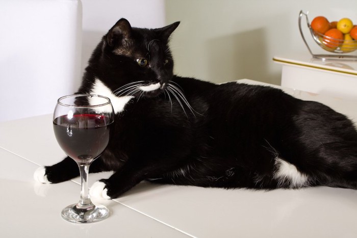 ワインが入ったグラスと猫