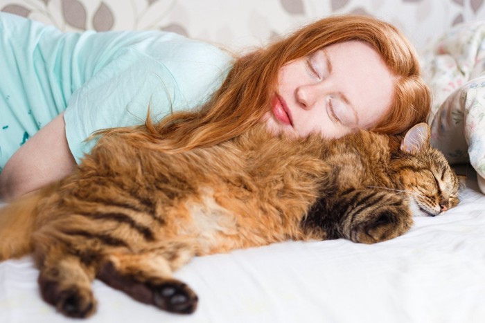 女性と眠っている猫