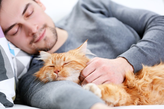 男性と眠っている猫