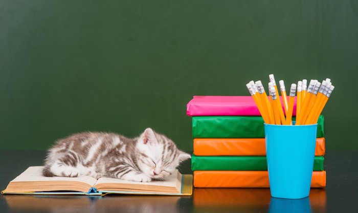 本の上で寝ている子猫と文房具