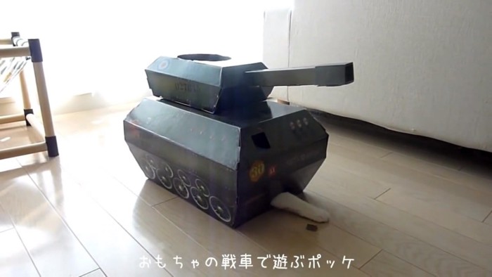 猫の前足が出ているおもちゃの戦車