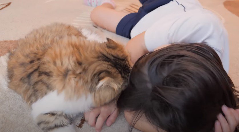 床の上で少女を甘噛みする猫