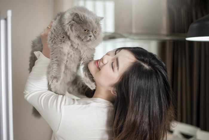 女性に高く抱っこされる猫