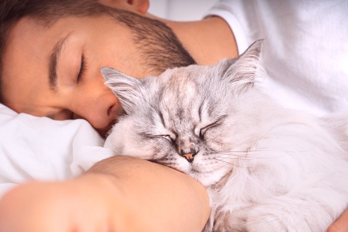 男性の枕元で一緒に眠っている猫