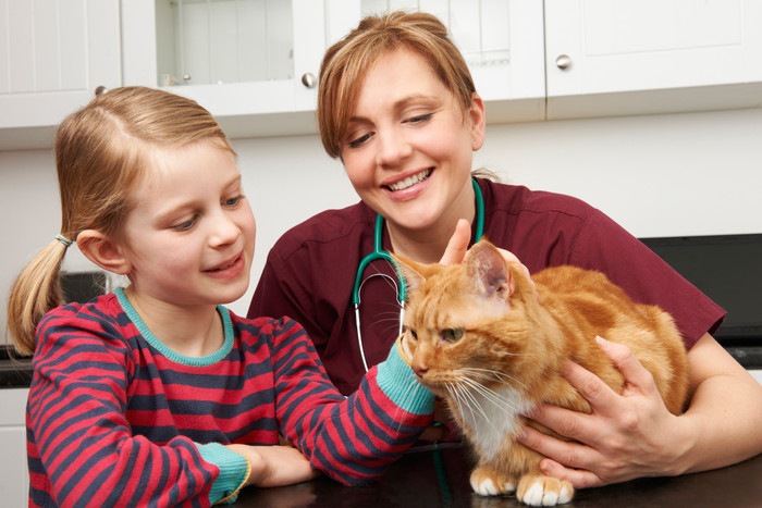 子供と獣医と茶色い猫